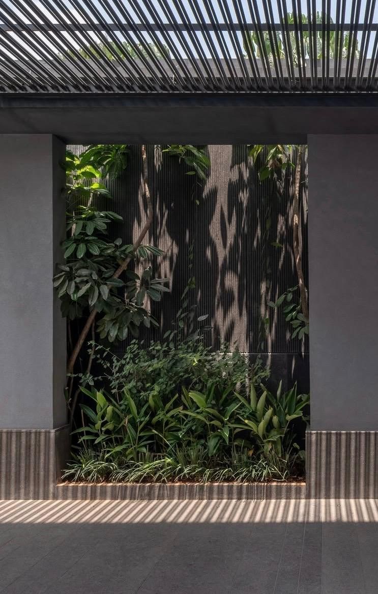 Planted courtyard at The Stepped Haven framed by columns under a slatted canopy, with dappled shadows on the fluted wall