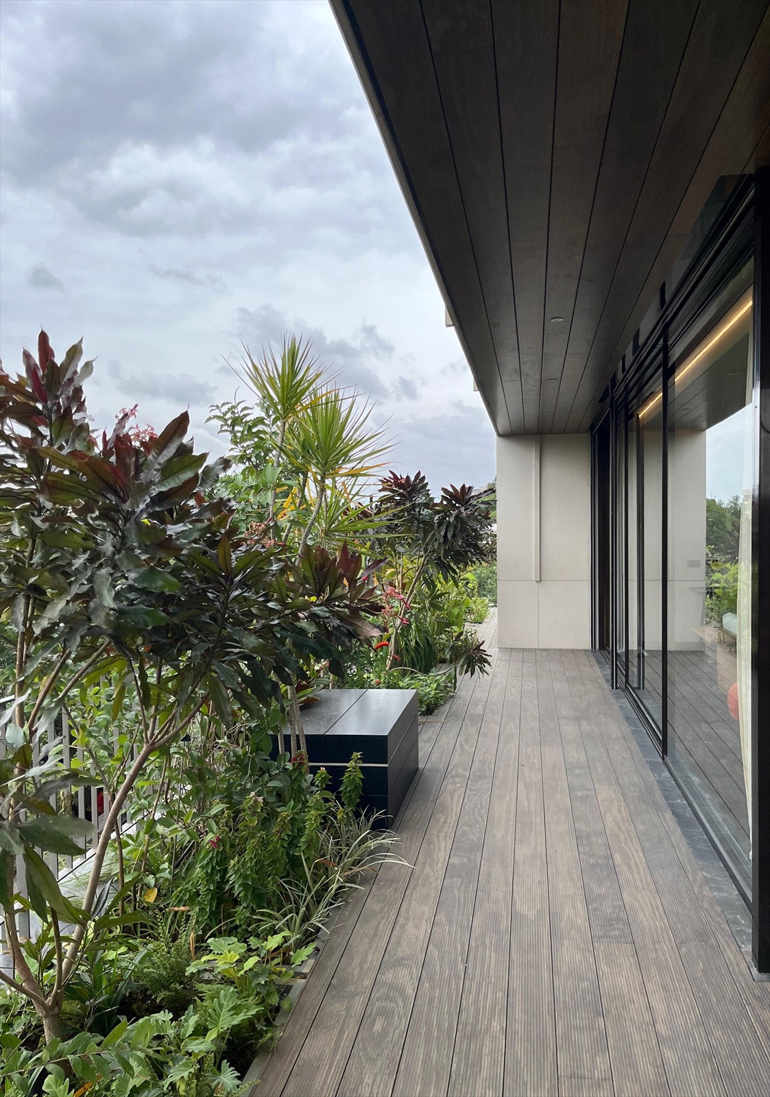 Timber-decked terrace at The Stepped Haven lined with dense planting beneath the wooden soffit