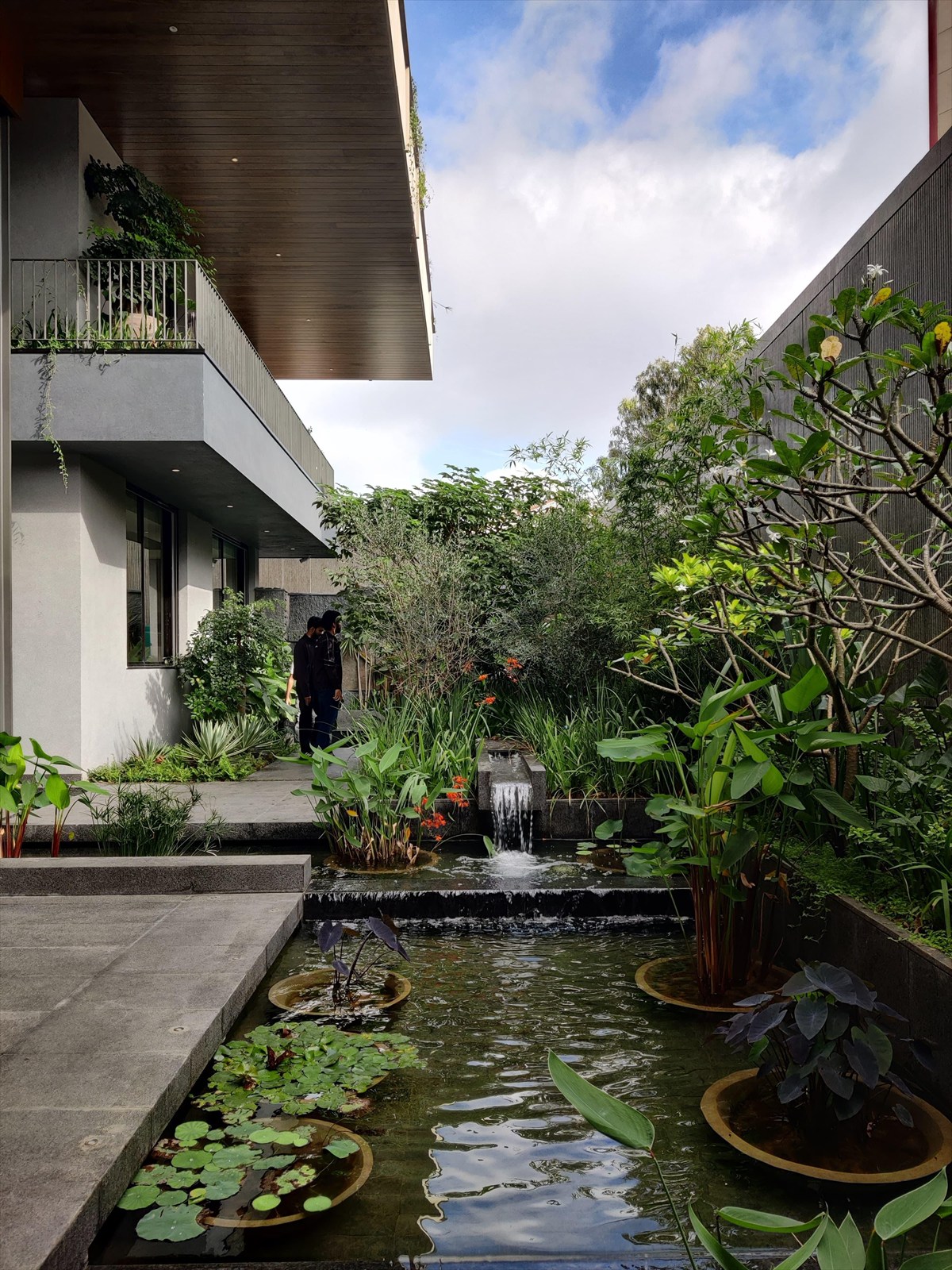 Lily pond and cascading water feature at The Stepped Haven beside the cantilevered upper floor